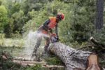 Husqvarna 550 XP® G Mark II – X-Torq – Bild 6