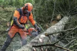 Husqvarna 550 XP® Mark II (18″) – X-Torq – Bild 5