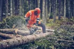 Husqvarna 560 XP® Mark II / 45 – Modell 2025 – Bild 5