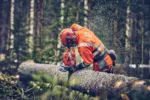 Husqvarna 560 XP® G Mark II / 45 – Bild 4