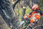 Husqvarna 560 XP® G Mark II / 45 – Bild 2