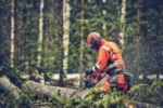 Husqvarna 560 XP® Mark II / 38 – X-Torq – Bild 3