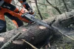 Husqvarna 572 XP / 45 – X-Torq – Bild 4