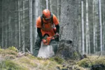 Husqvarna 572 XP / 45 – X-Torq – Bild 3