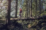 Husqvarna 572 XP G / 50 – X-Torq – Bild 6
